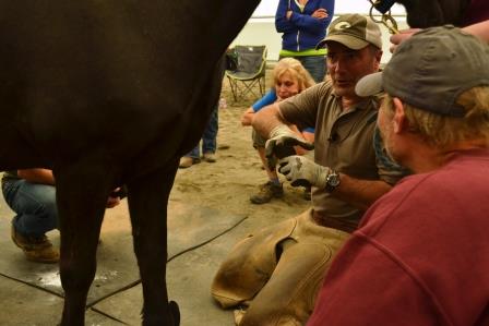 Pete watches Pete trim Tinni's feet